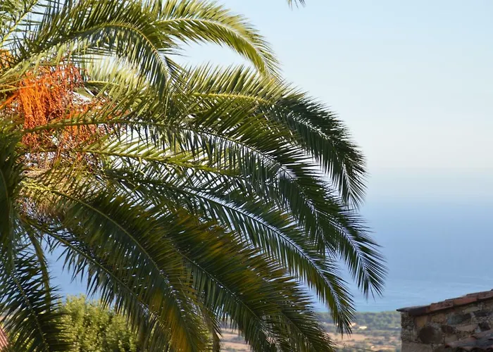Maison Corse En Balagne