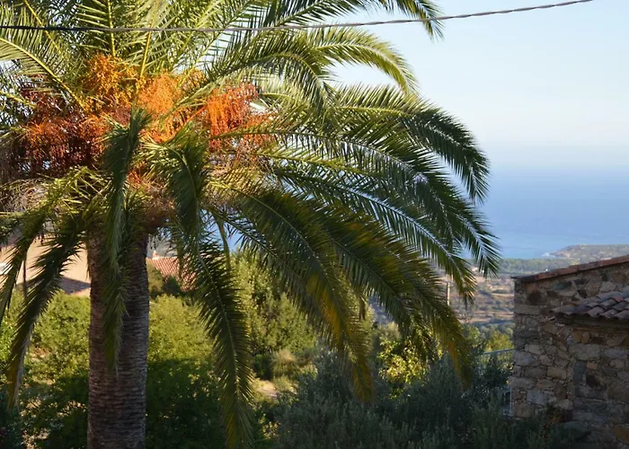 Maison Corse En Balagne