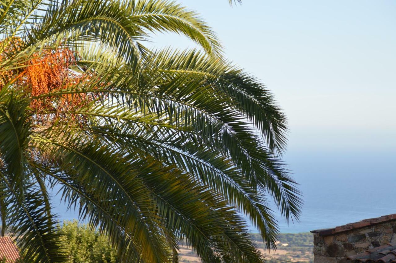 Ferienhaus Maison Corse En Balagne Cateri